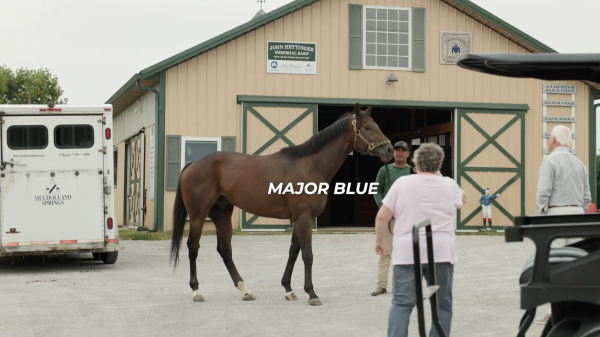 Major Blue, Last Horse Owned by Legendary Trainer D. Wayne Lukas, Retires to Old Friends